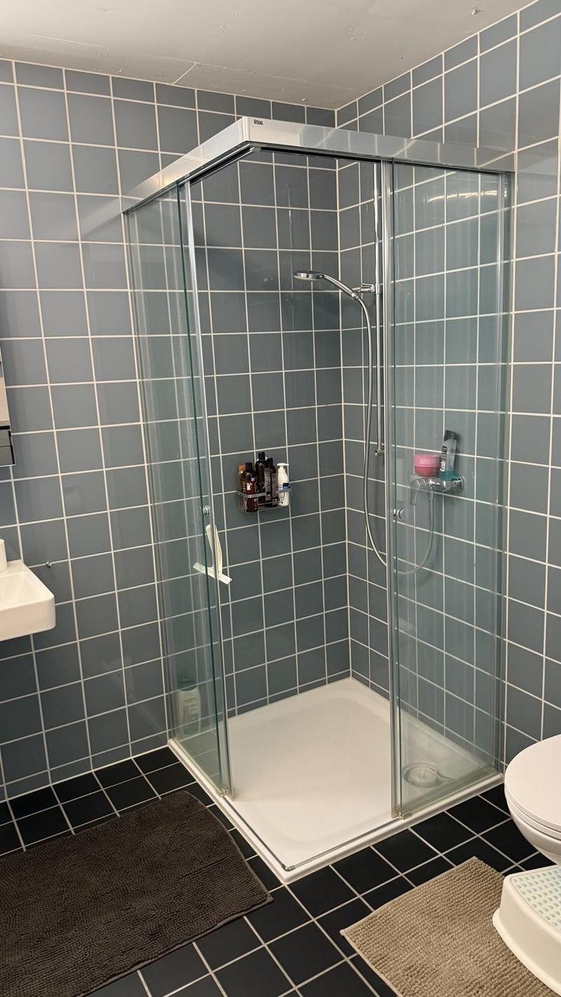 4.5-Zimmer-Wohnung in Horgen inkl. 2 Parkplätzen  Nachmieter gesucht (8)