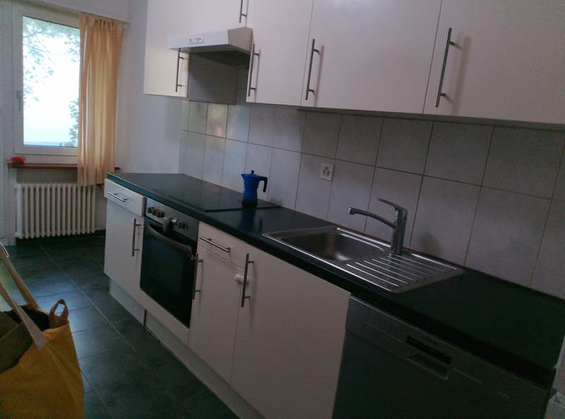 Grosse 2.5 zimmer Wohnung (3)