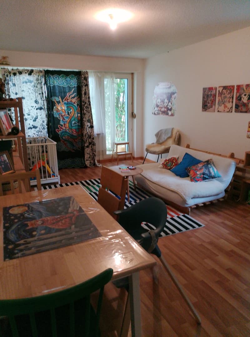 Grosse 2.5 zimmer Wohnung (1)