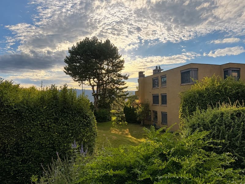 2.5-Zi-Wohnung, grosser Balkon, ruhige Lage Erlenbach (Fussweg Bahnhof Winkel 7 Min.) (2)