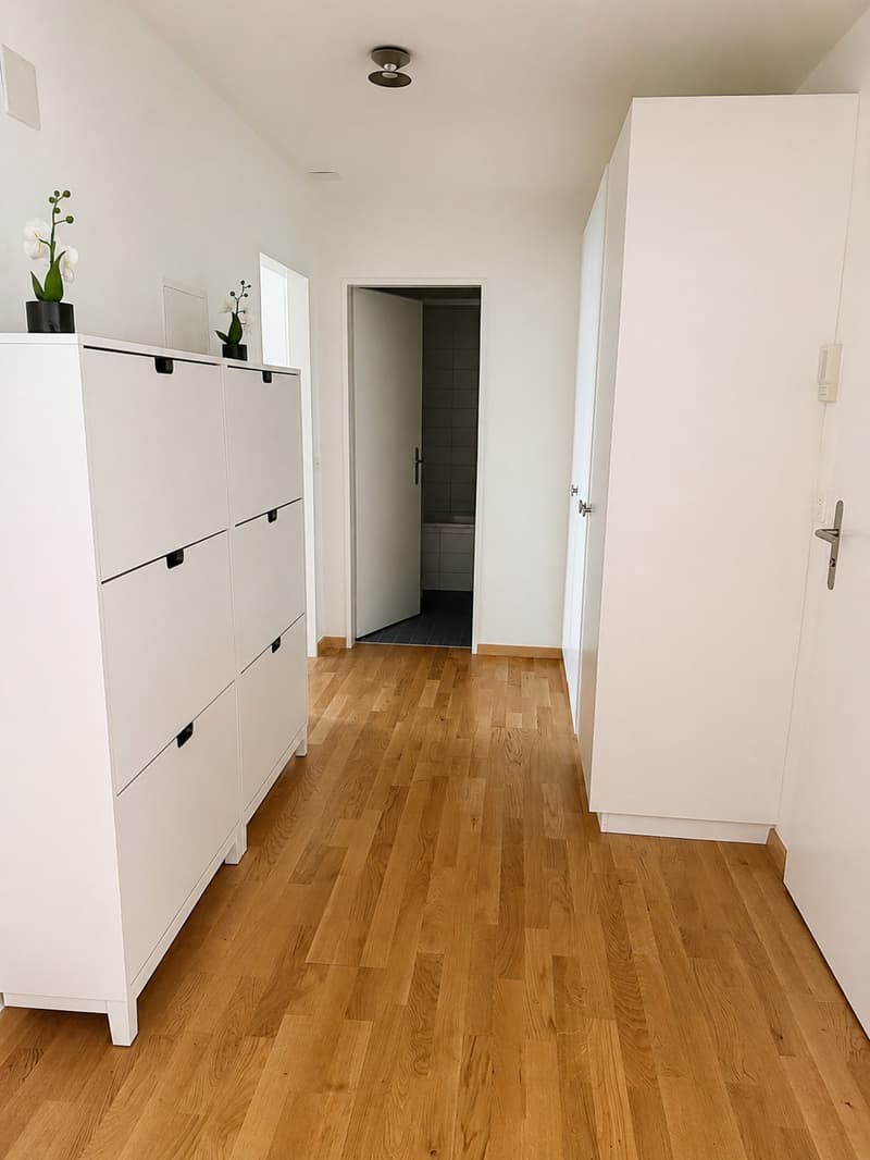 2.5-Zi-Wohnung, grosser Balkon, ruhige Lage Erlenbach (Fussweg Bahnhof Winkel 7 Min.) (6)