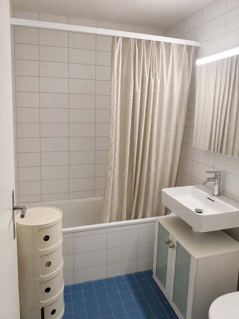 2.5-Zi-Wohnung, grosser Balkon, ruhige Lage Erlenbach (Fussweg Bahnhof Winkel 7 Min.) (10)
