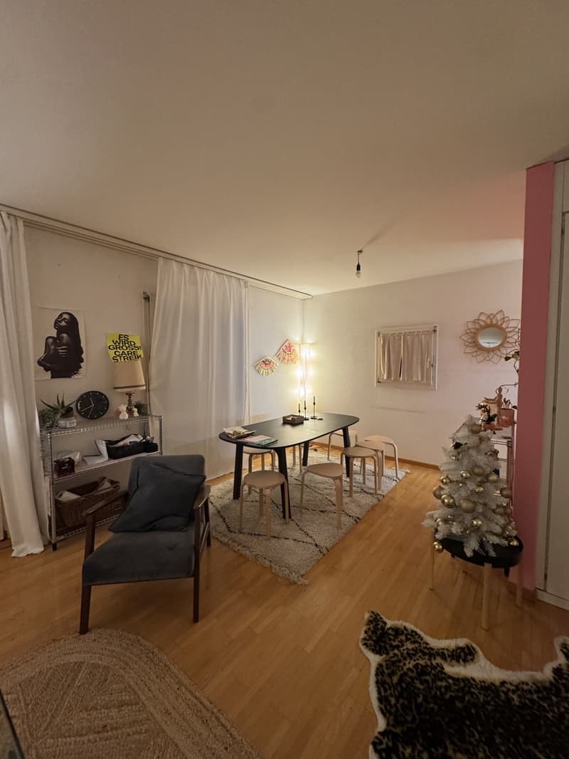 WG Zimmer (5)