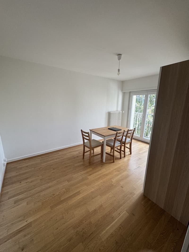 Appartement 1 pièce (1)