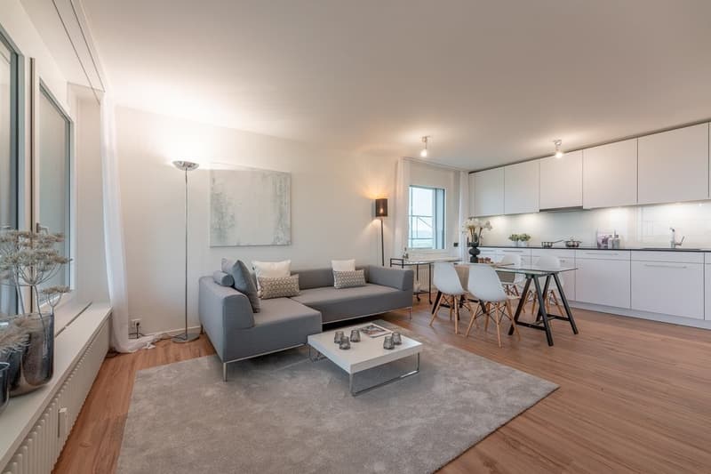 3 ½ Zimmer-Wohnung in Allschwil mieten (2)