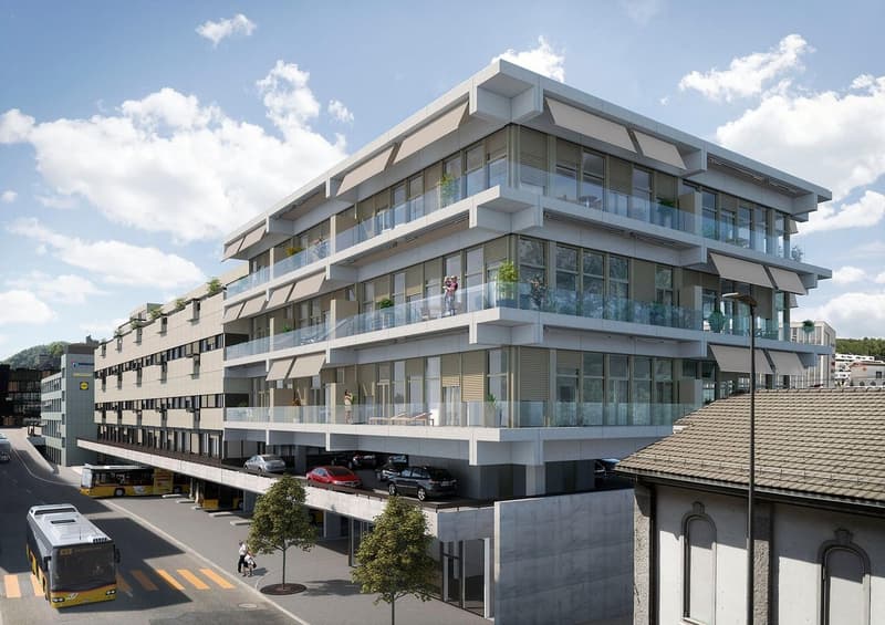 Wunderschöne Loft in Baden (4)