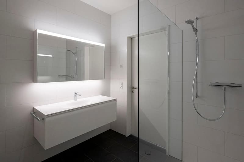 Wunderschöne Loft in Baden (6)