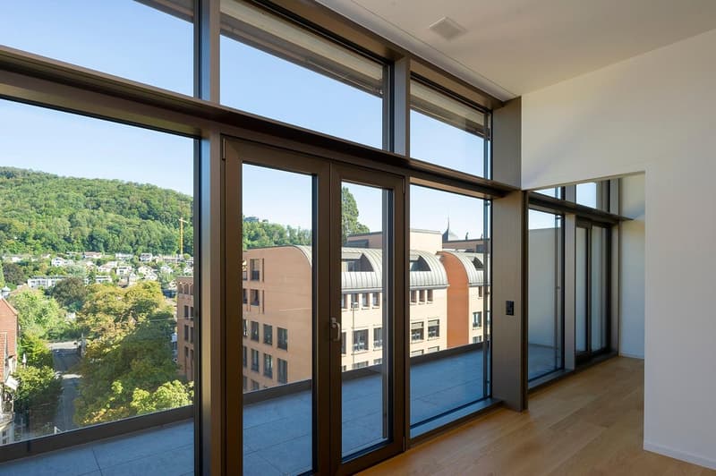 Wunderschöne Loft in Baden (2)