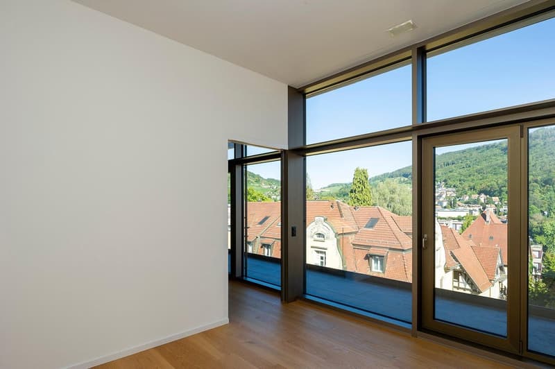 Wunderschöne Loft in Baden (3)