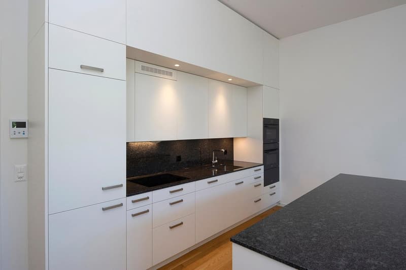 Wunderschöne Loft in Baden (5)