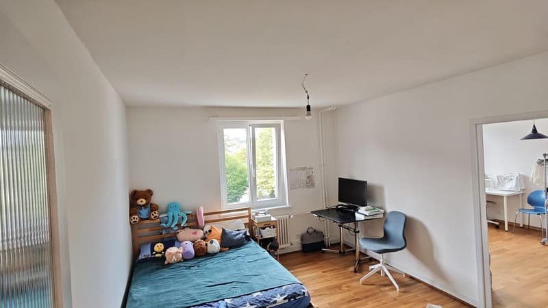 Zur Nachmiete: Schöne 2-Zimmer-Wohnung in Allschwil (1)