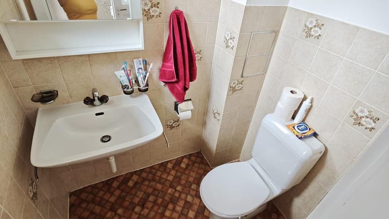 Zur Nachmiete: Schöne 2-Zimmer-Wohnung in Allschwil (4)