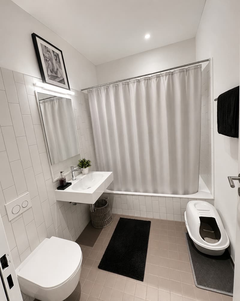 Maisonette Wohnung mit Blick auf Pilatus und 110 qm und 2 Terassen in Root (7)