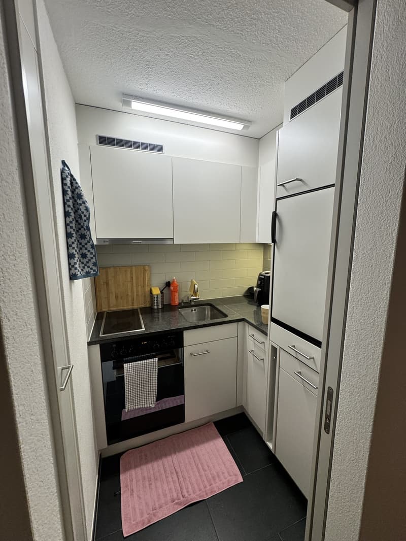 1.5 Zimmer-Wohnung in Frauenfeld (3)