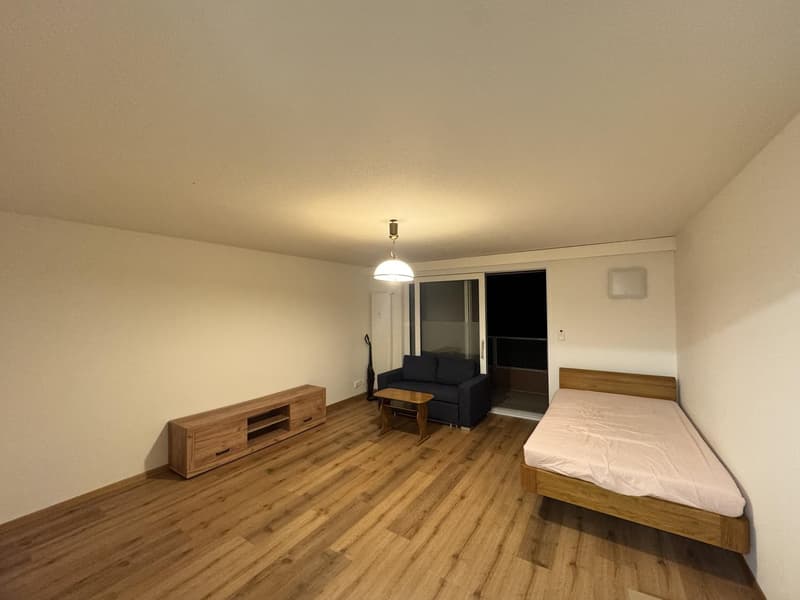 1.5 Zimmer-Wohnung in Frauenfeld (1)