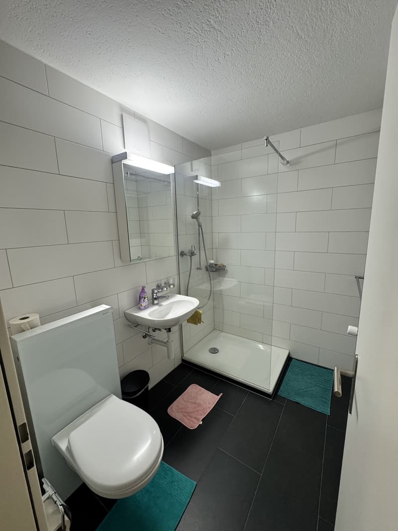 1.5 Zimmer-Wohnung in Frauenfeld (4)