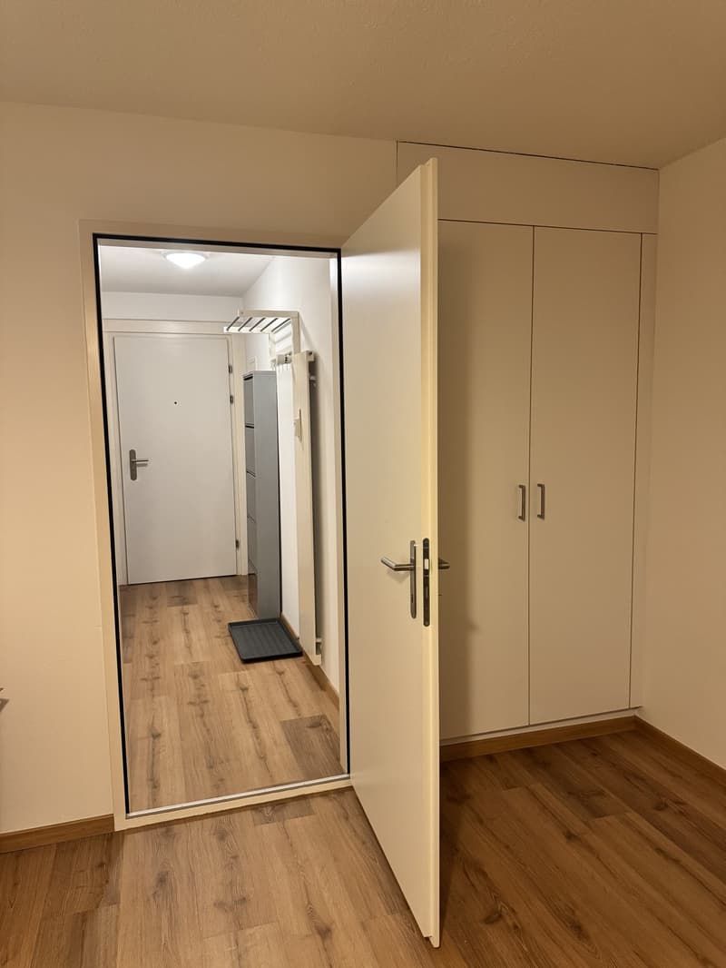 1.5 Zimmer-Wohnung in Frauenfeld (2)