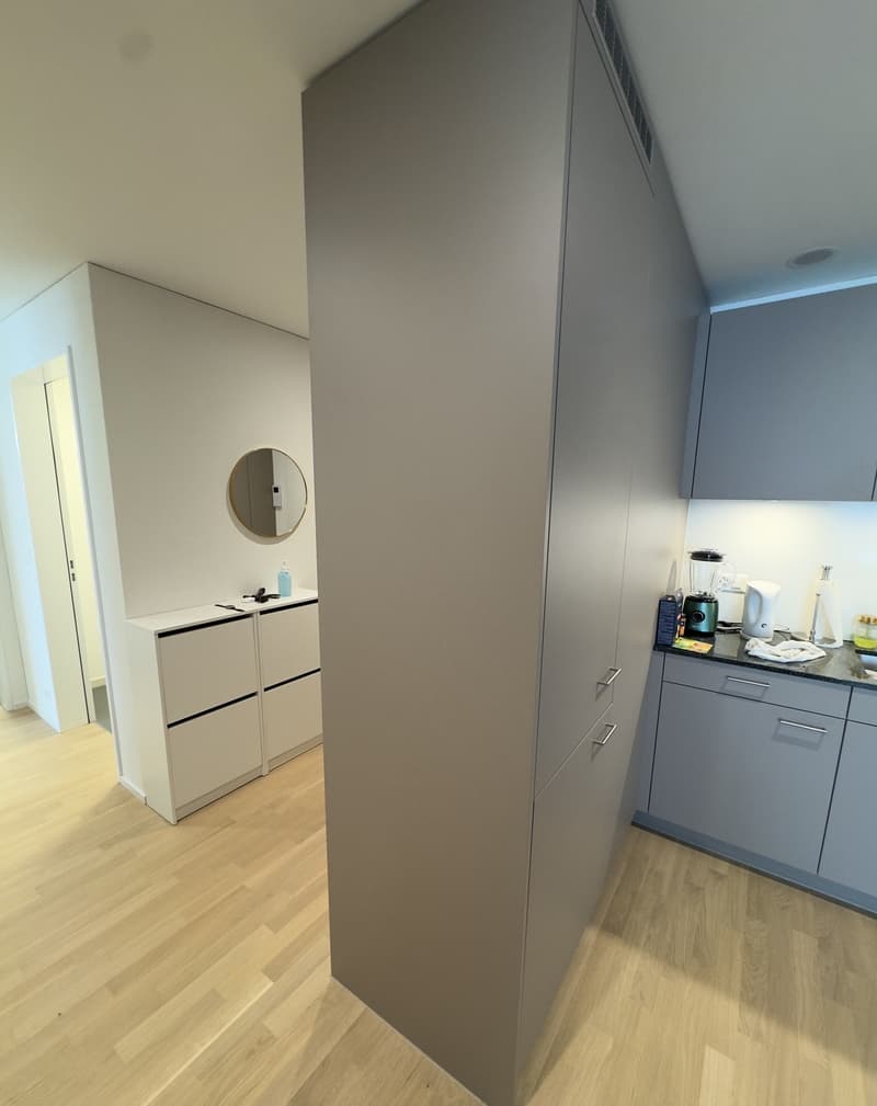 3 ½ Zimmer-Wohnung, 8600 Dübendorf (4)