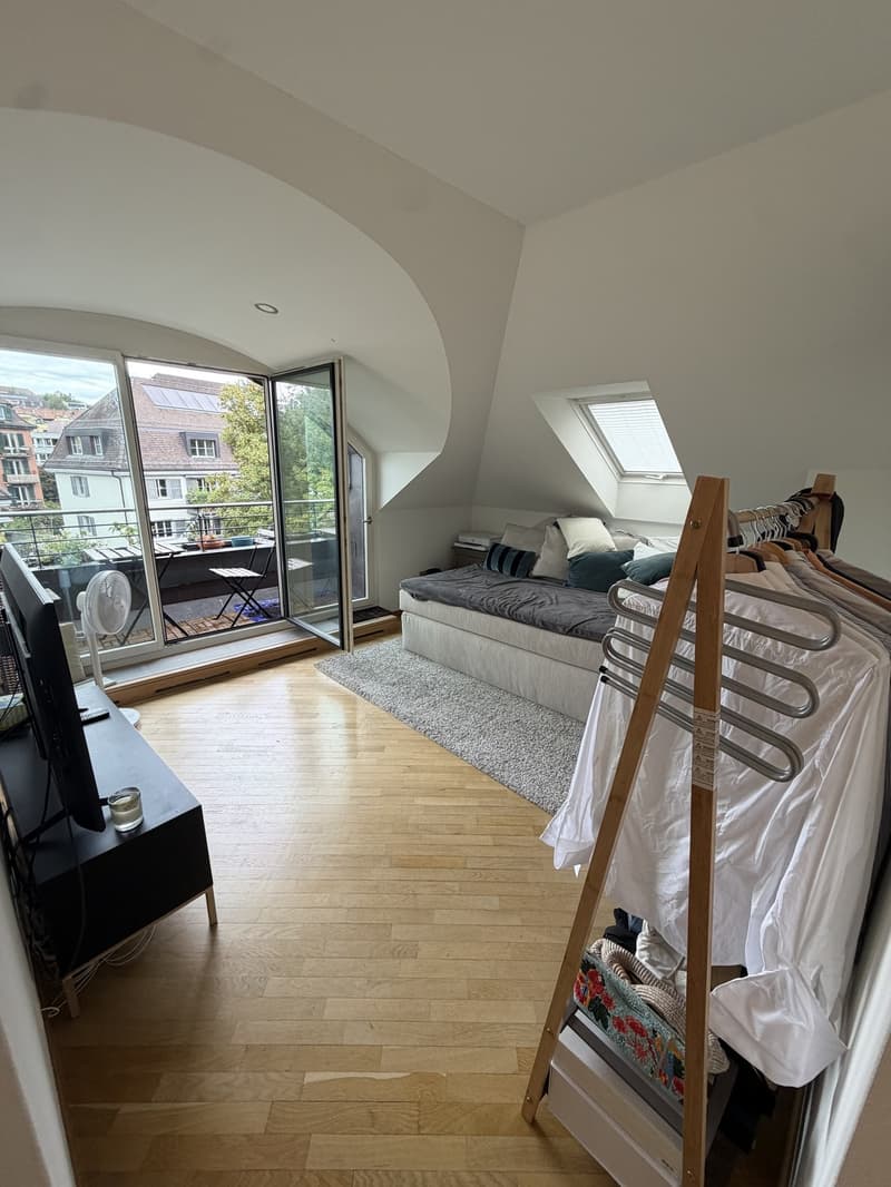 3 ½ rooms apartment, 8037 Zurich (7)