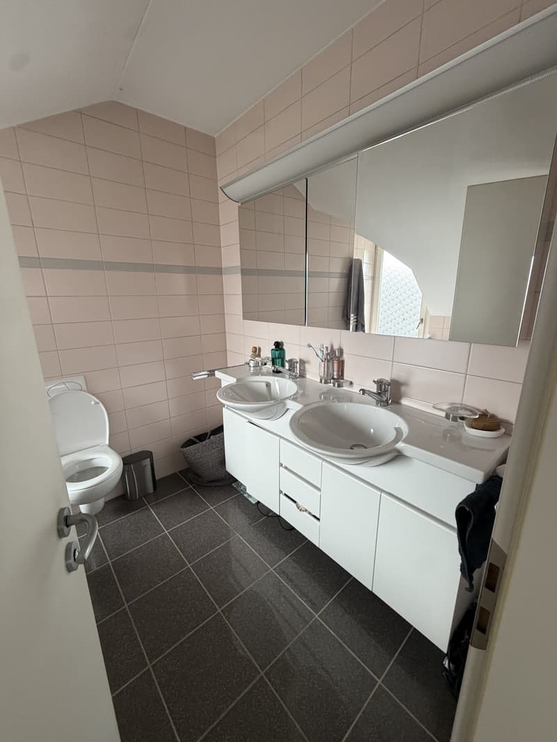 3 ½ rooms apartment, 8037 Zurich (9)