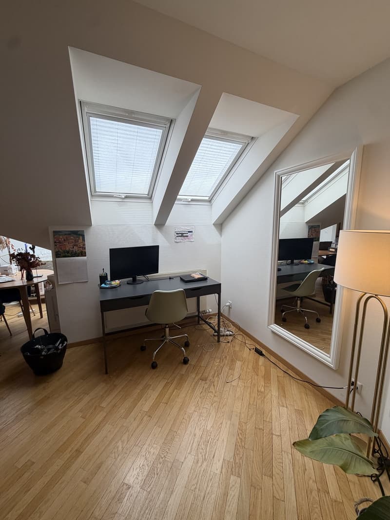 3 ½ rooms apartment, 8037 Zurich (11)