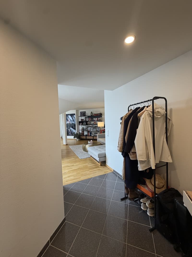 3 ½ rooms apartment, 8037 Zurich (2)