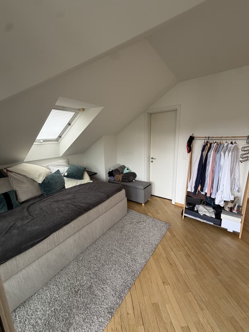 3 ½ rooms apartment, 8037 Zurich (10)