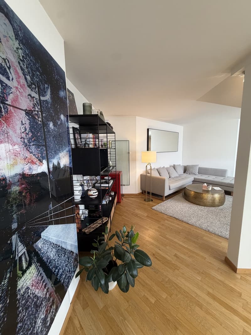 3 ½ rooms apartment, 8037 Zurich (6)