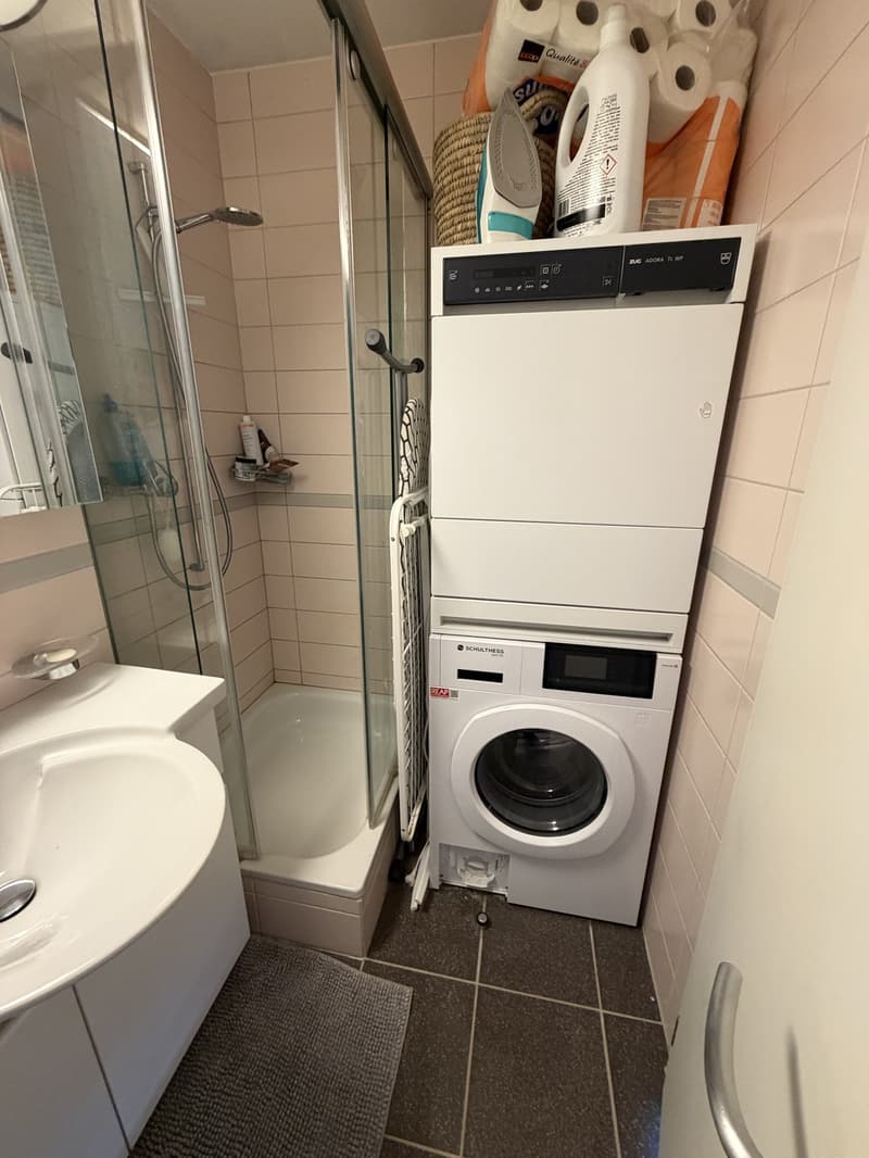 3 ½ rooms apartment, 8037 Zurich (13)