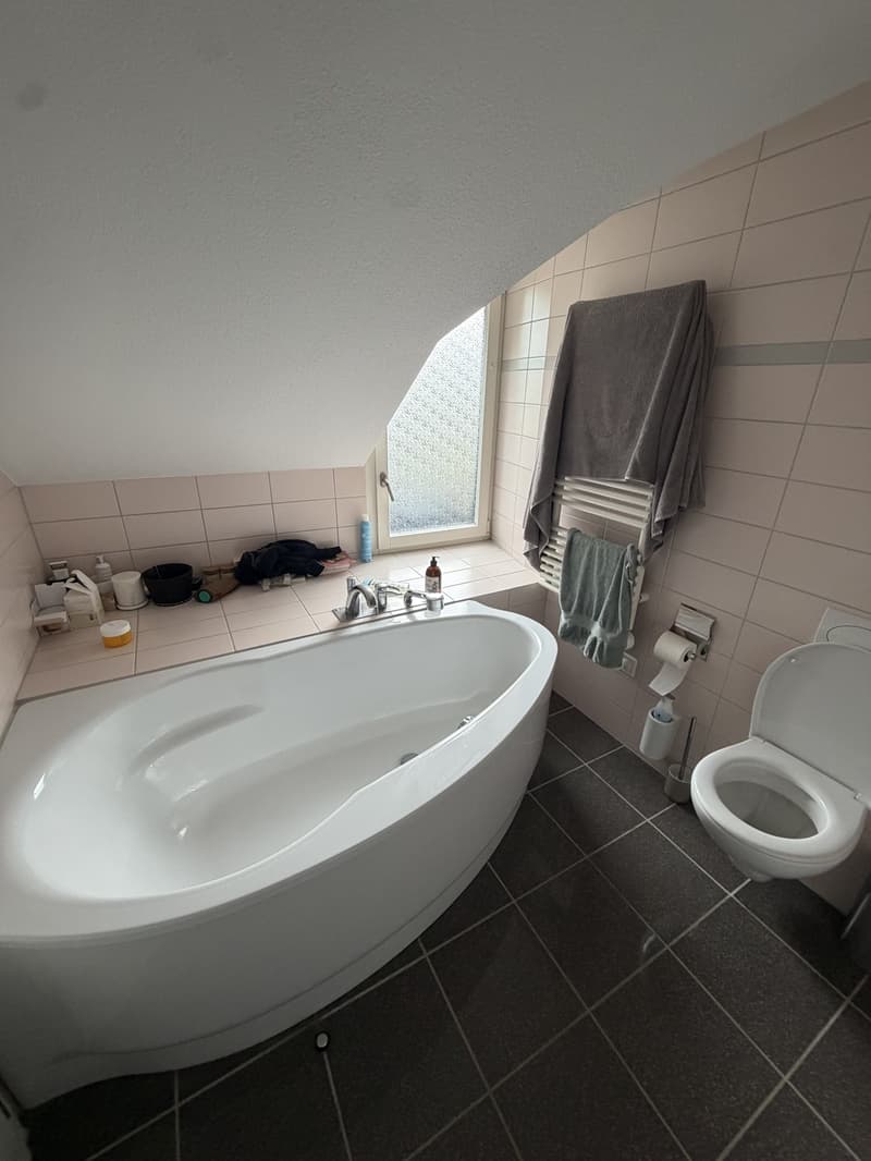 3 ½ rooms apartment, 8037 Zurich (8)