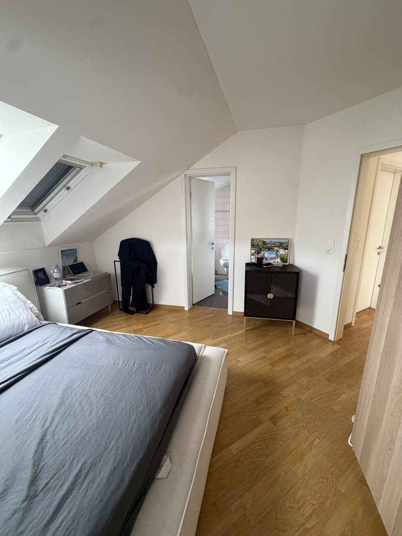 3 ½ rooms apartment, 8037 Zurich (12)