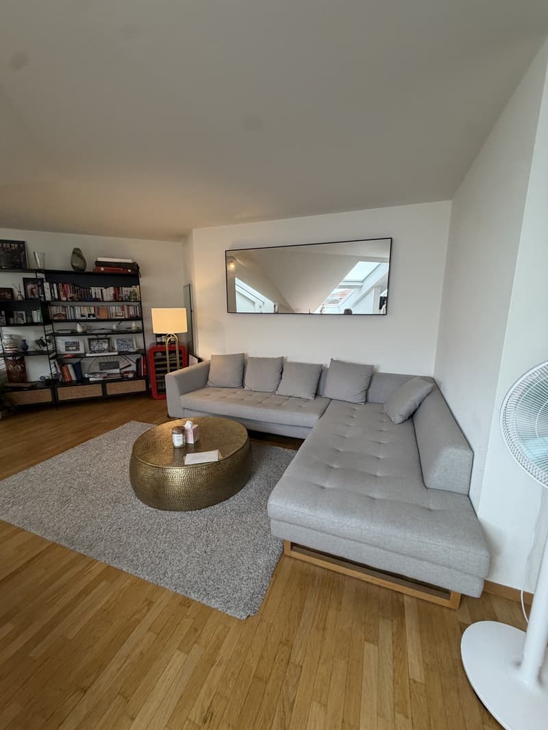 3 ½ rooms apartment, 8037 Zurich (1)