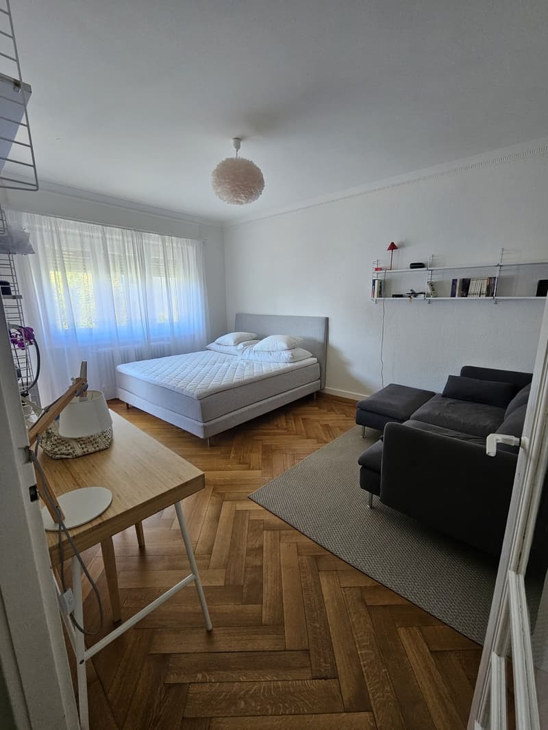 Appartement 1,5 pièce lumineux avec balcon Lausanne (1)