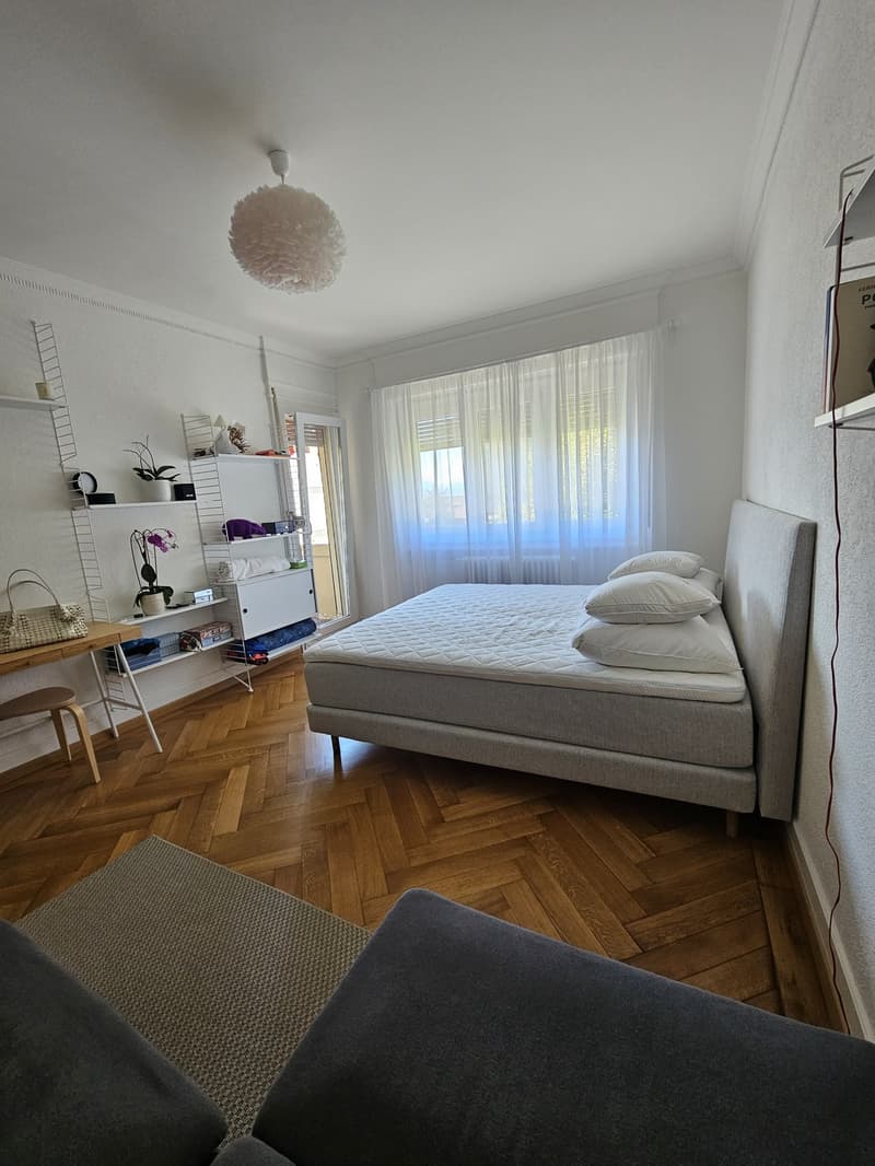 Appartement 1,5 pièce lumineux avec balcon Lausanne (2)