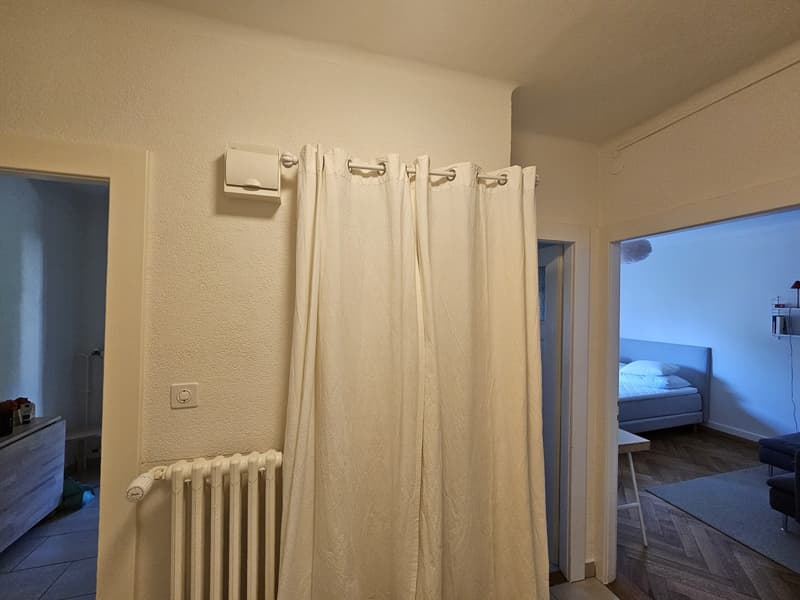 Appartement 1,5 pièce lumineux avec balcon Lausanne (5)