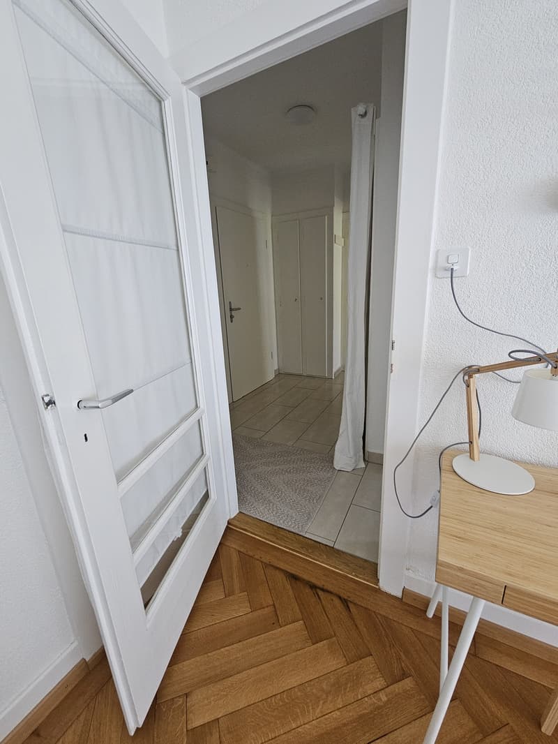 Appartement 1,5 pièce lumineux avec balcon Lausanne (4)