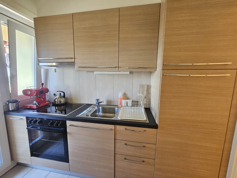Appartement 1,5 pièce lumineux avec balcon Lausanne (10)