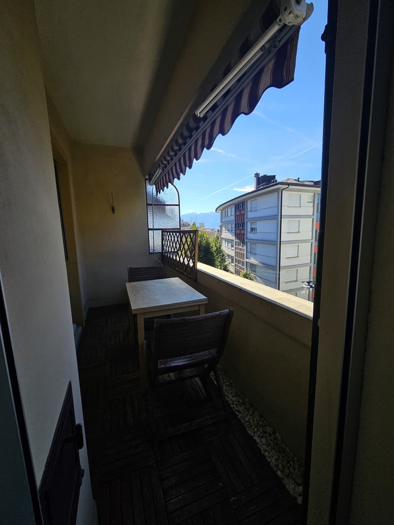 Appartement 1,5 pièce lumineux avec balcon Lausanne (12)