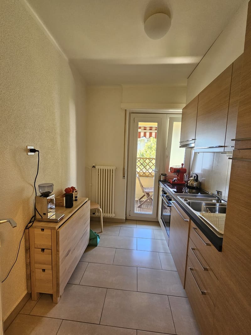 Appartement 1,5 pièce lumineux avec balcon Lausanne (9)