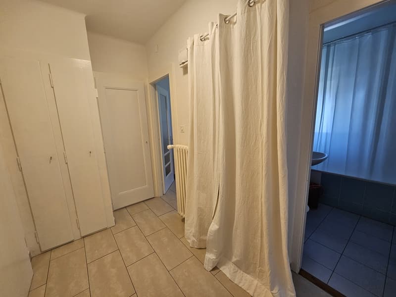 Appartement 1,5 pièce lumineux avec balcon Lausanne (6)