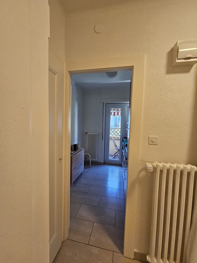 Appartement 1,5 pièce lumineux avec balcon Lausanne (8)