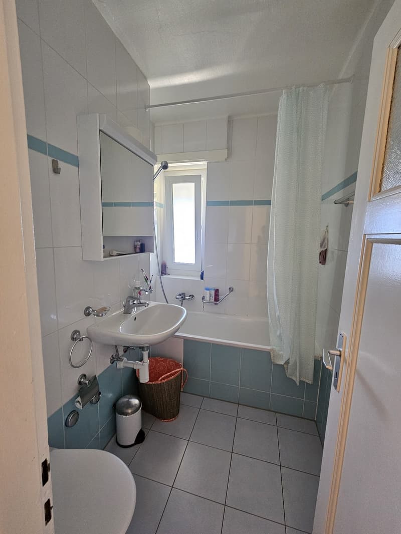 Appartement 1,5 pièce lumineux avec balcon Lausanne (7)