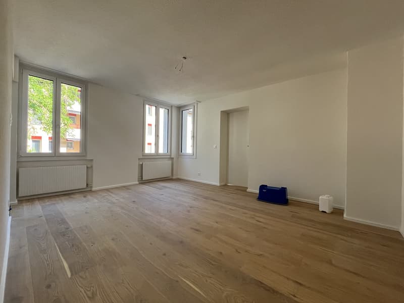 Helle, frisch renovierte 2-Zimmer-Wohnung in ruhiger, zentraler Lage (4)