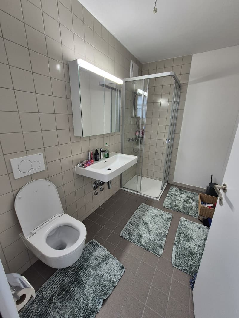 Neubau Wohnung! (8)
