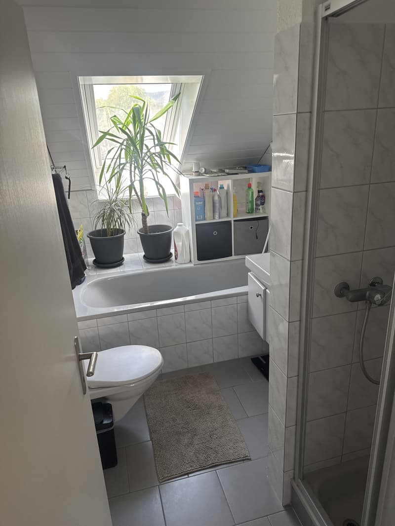 Lichtdurchflutete 4,5-Zimmer-Dachwohnung mit zwei Balkonen und viel Plat (6)