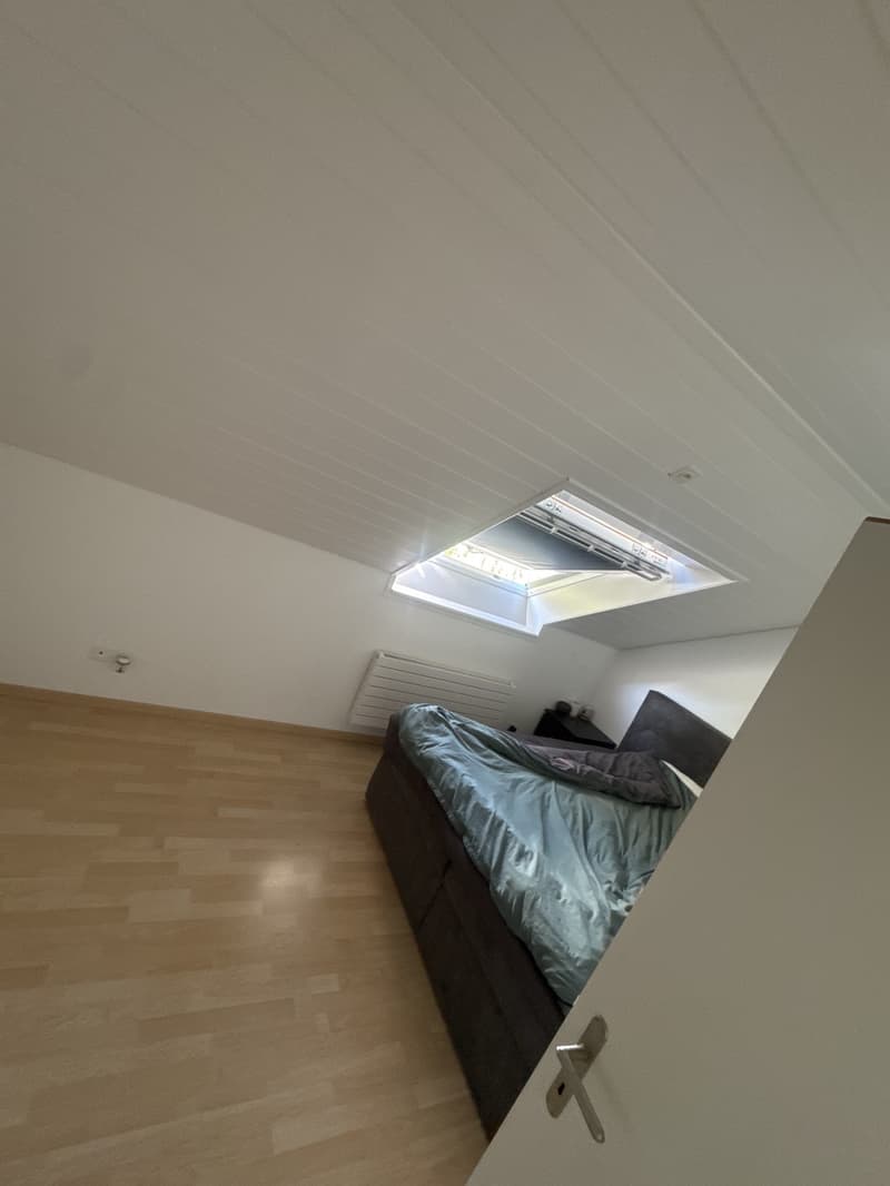Lichtdurchflutete 4,5-Zimmer-Dachwohnung mit zwei Balkonen und viel Plat (2)