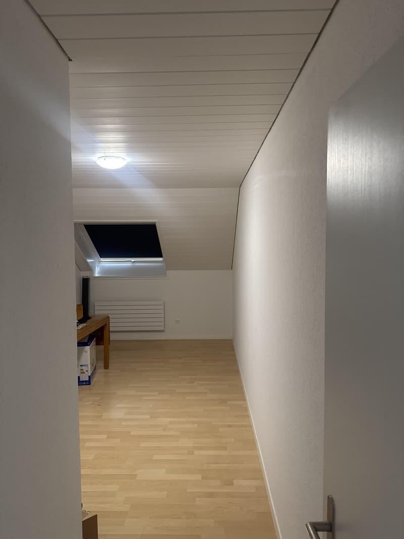 Lichtdurchflutete 4,5-Zimmer-Dachwohnung mit zwei Balkonen und viel Plat (3)