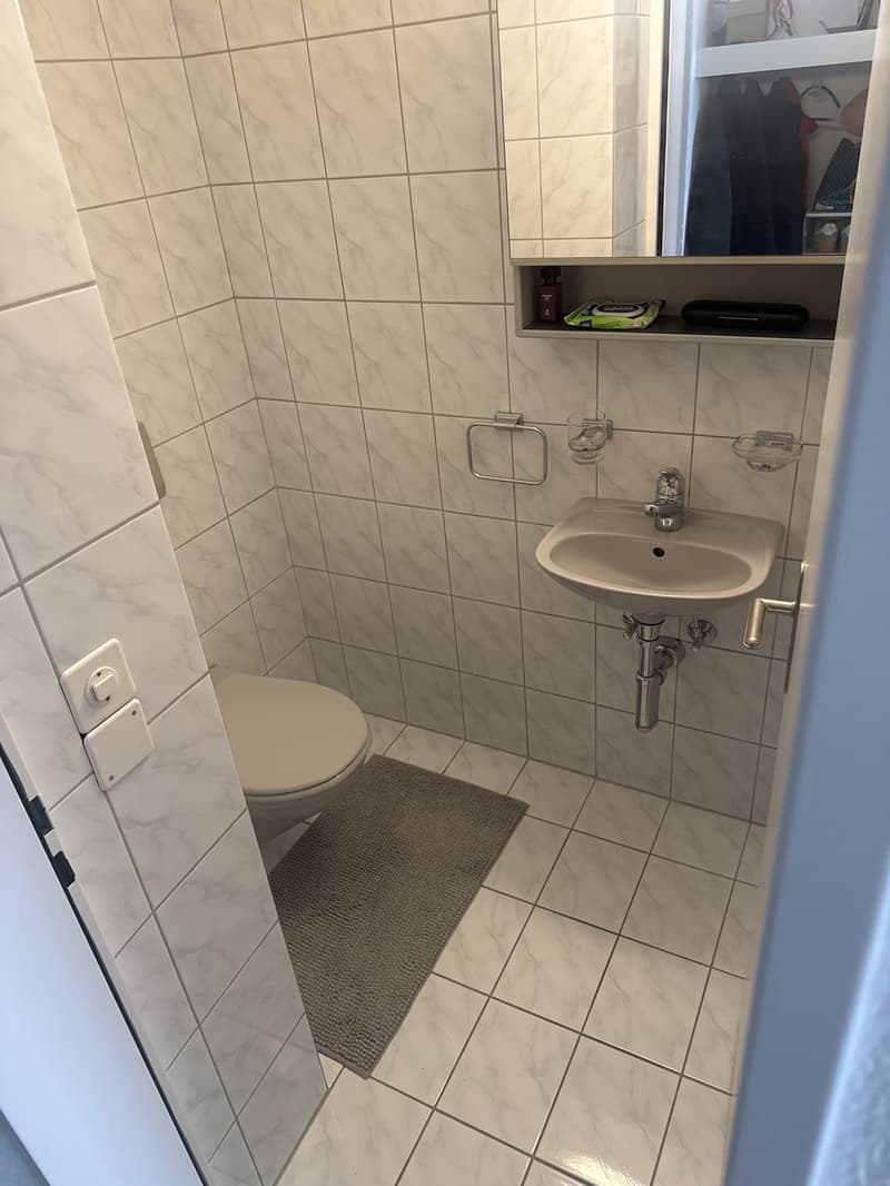 Lichtdurchflutete 4,5-Zimmer-Dachwohnung mit zwei Balkonen und viel Plat (4)