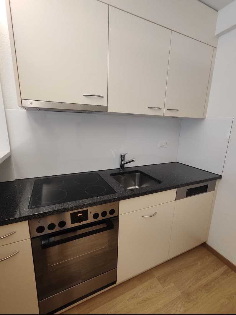1-Zimmer-Wohnung (3)