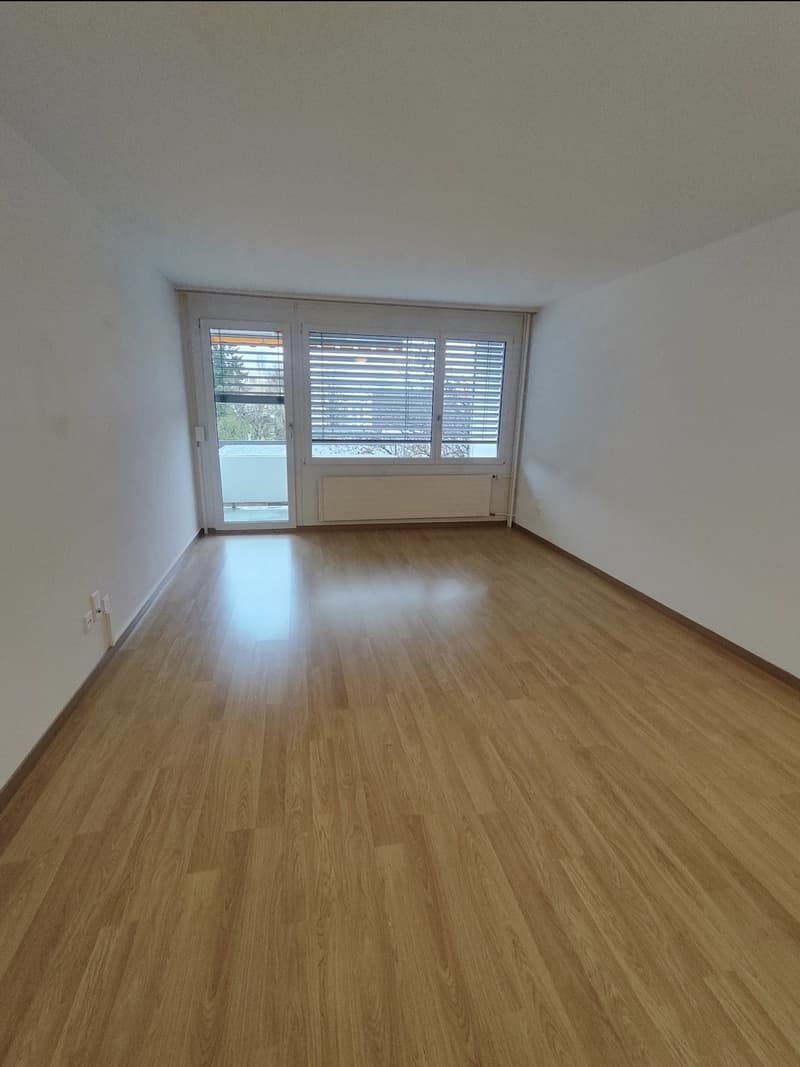 1-Zimmer-Wohnung (8)